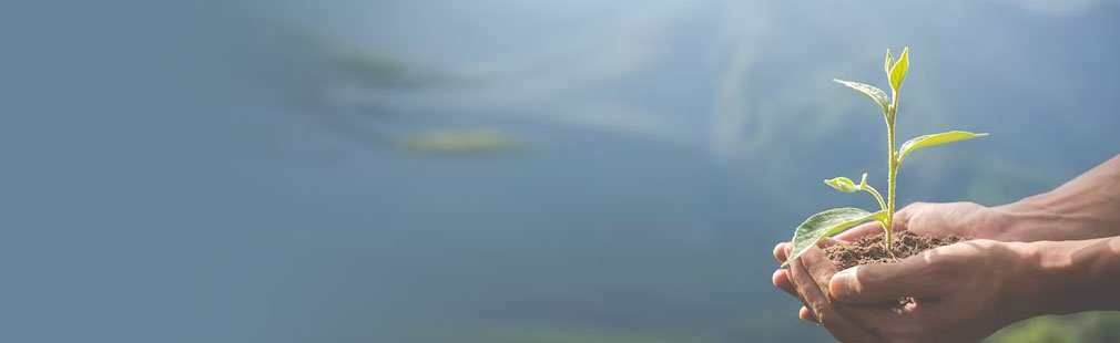 尊龙官网登录人生就是博登录人